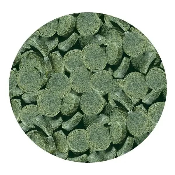 Sera Spirulina Tabs Kovadan Bölme 100Ad