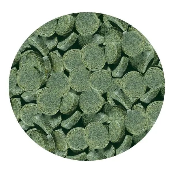 Sera Spirulina Tabs Kovadan Bölme