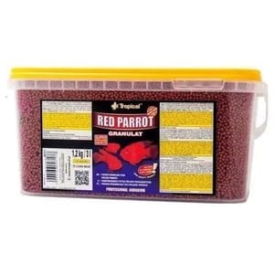 Tropical Red Parrot Gran Kovadan Bölme 250gr