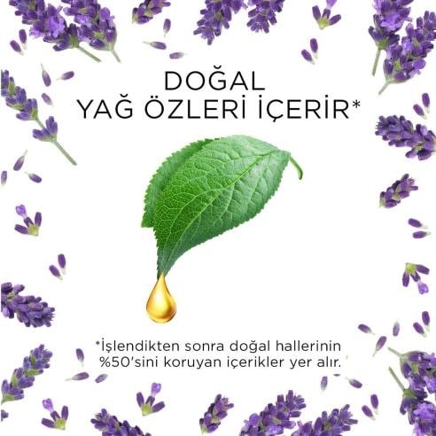 Elektrikli Oda Kokusu Esansiyel Yağlar Yedek Şişe Lavanta