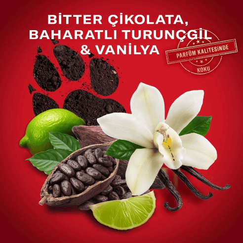Old Spice Night Panther Erkek Sprey Vücut Deodorantı 150 ml