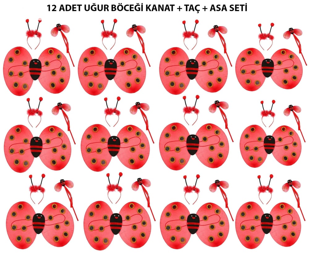 Uğur Böceği Kostüm Seti - Kanat, Taç, Asa 12 Adet