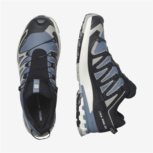 Salomon Xa Pro 3D V9 Gtx
