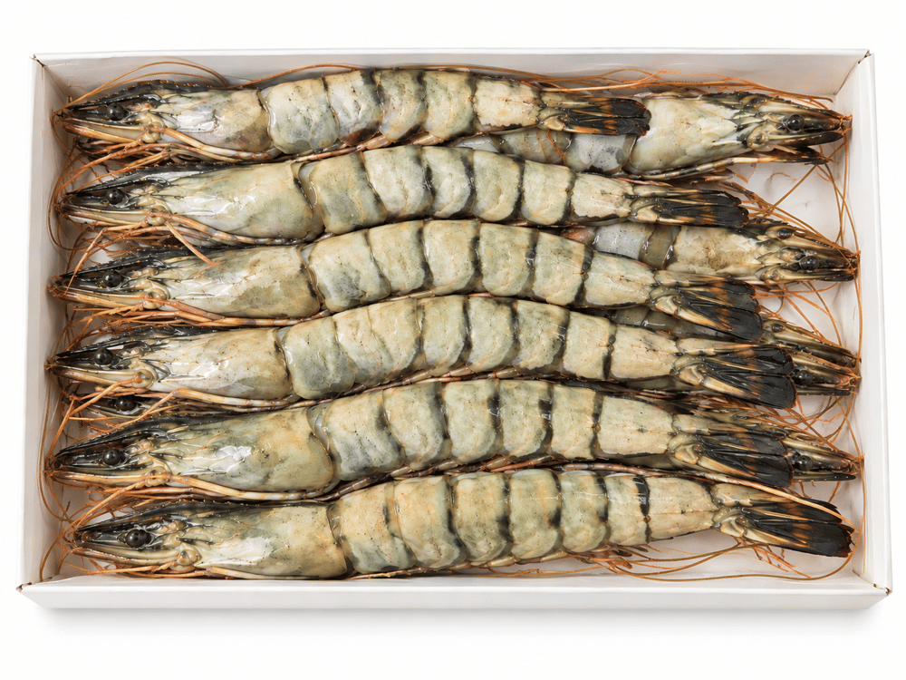 8/12  Black Tiger Karides - 10kg 