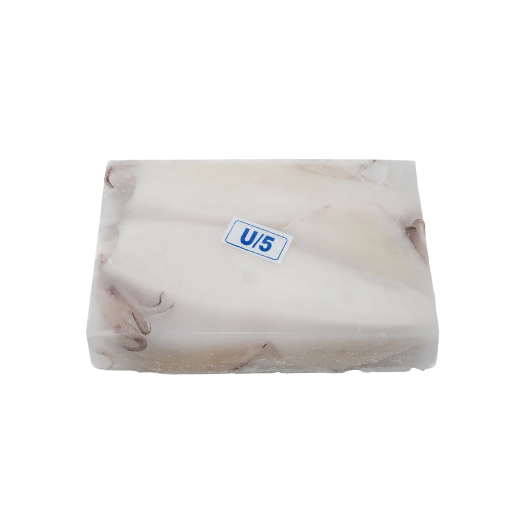 U5 Bütün Temiz Kalamar 12kg