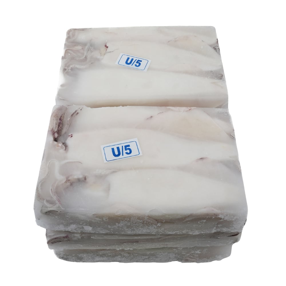 U5 Bütün Temiz Kalamar 12kg