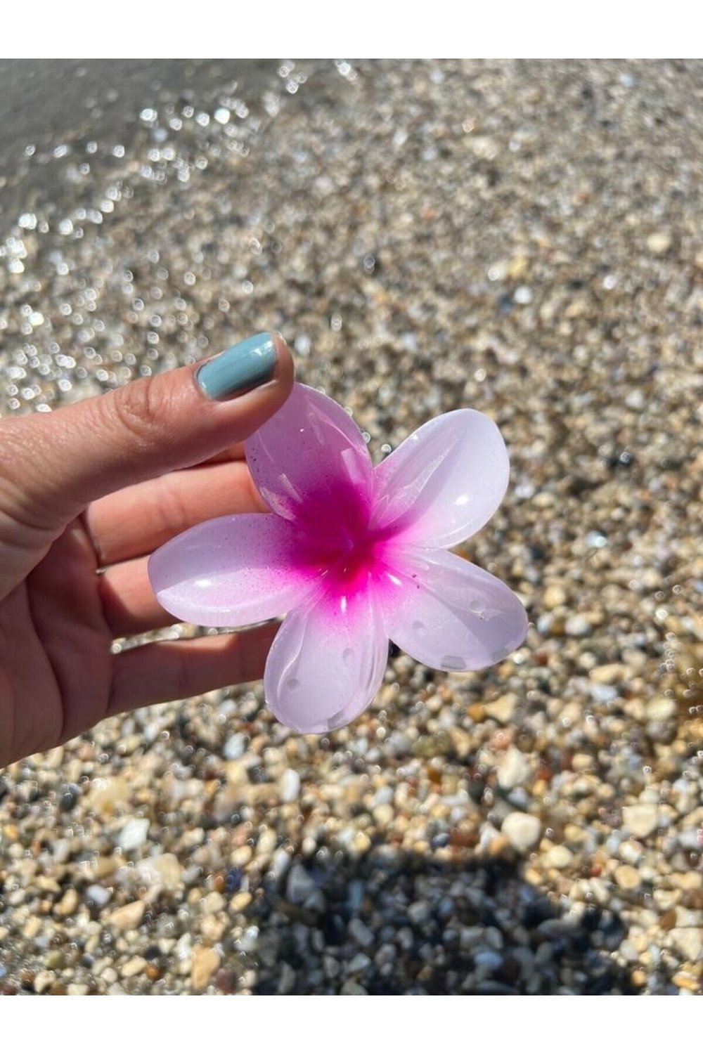 Beyaz Fuşya hibiscus Lotus Toka
