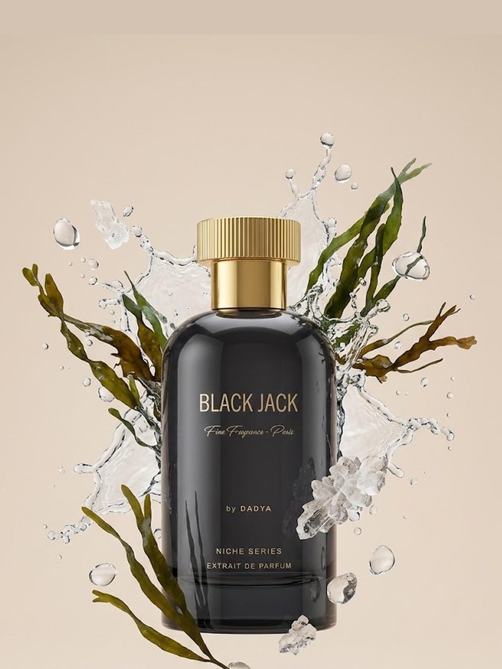 NICHE SERIES BLACK JACK