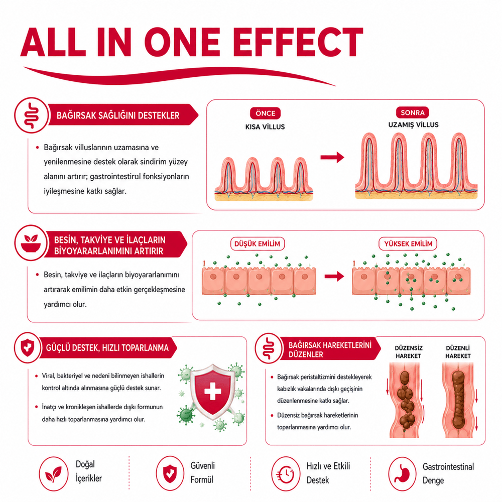 All In One Effect (Bağırsak Sağlığı Destekleyicisi)