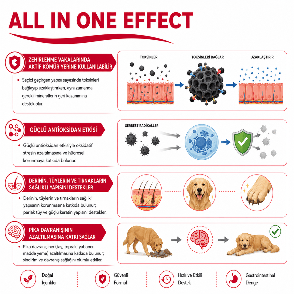 All In One Effect (Bağırsak Sağlığı Destekleyicisi)
