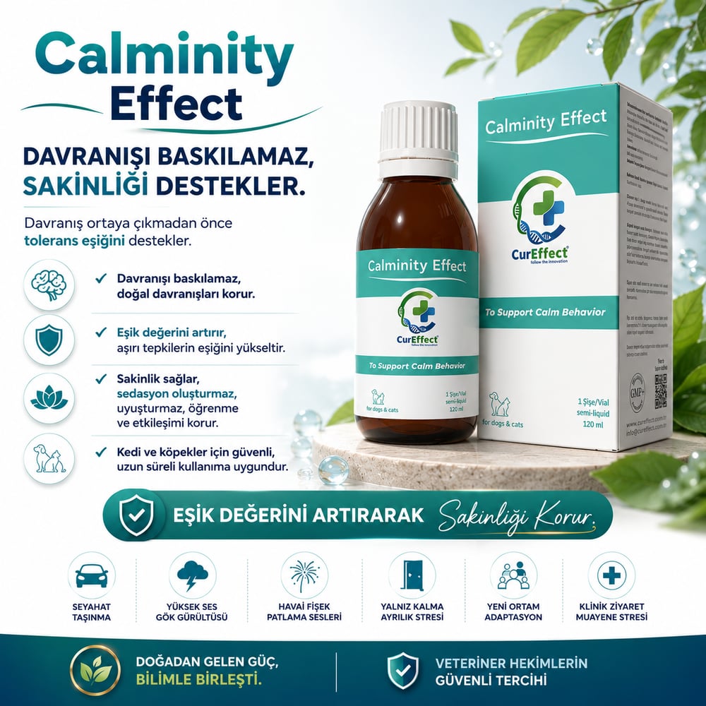 Calminity Effect (Sakinlik Destekleyici)