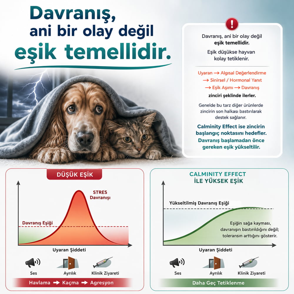 Calminity Effect (Sakinlik Destekleyici)