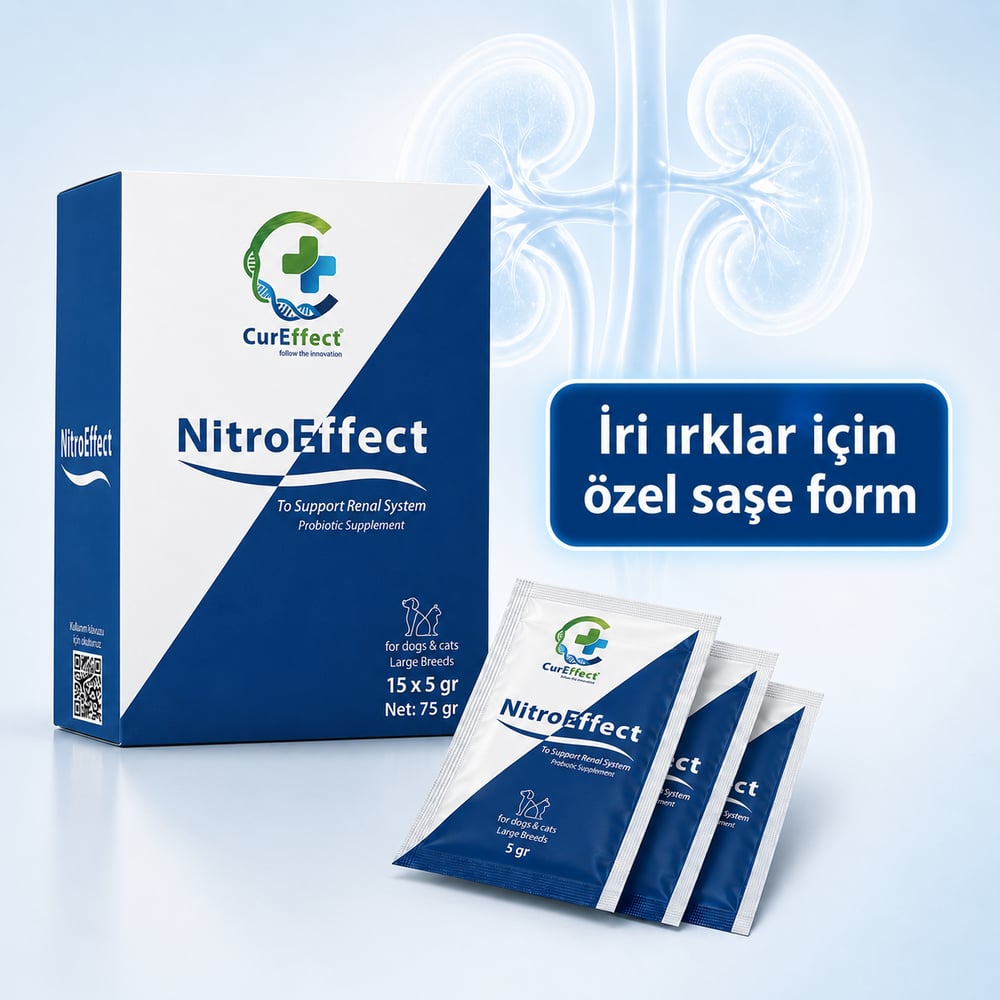 Nitro Effect (Üre/Kreatinin Dengeleyici)