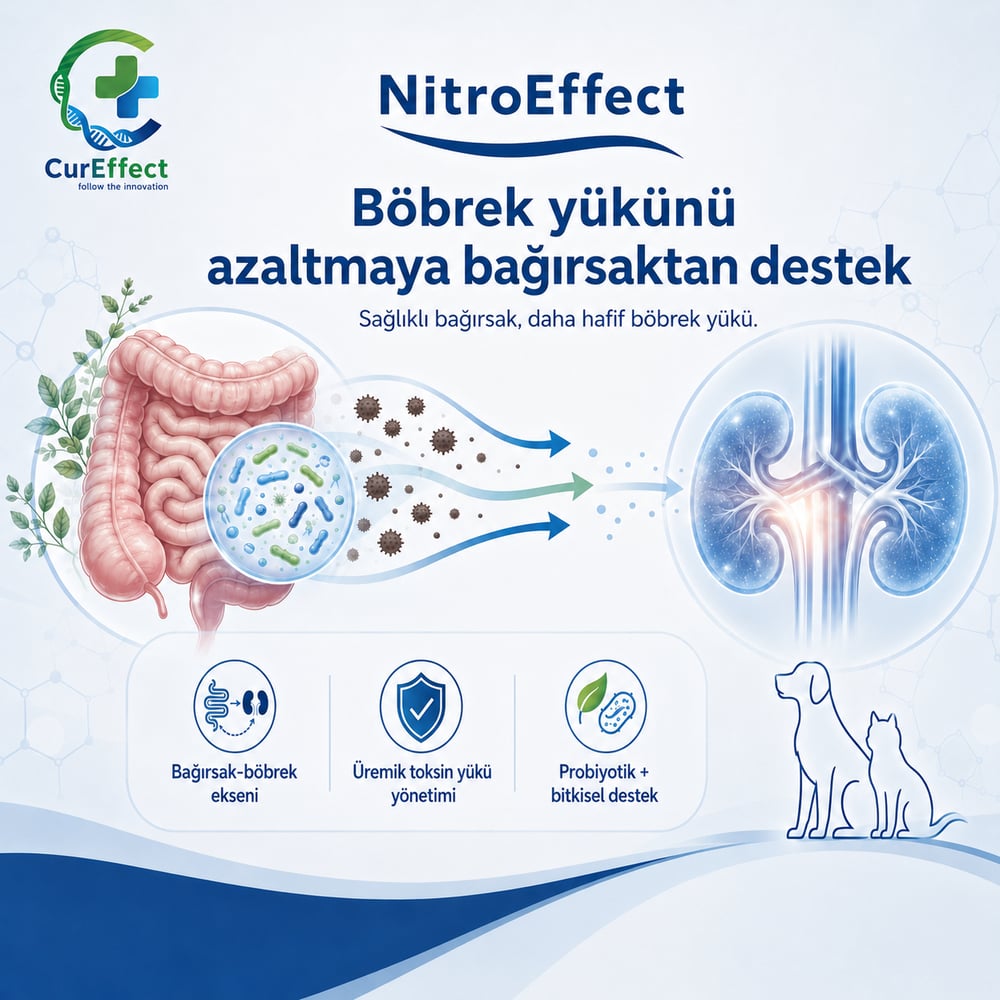 Nitro Effect (Üre/Kreatinin Dengeleyici)