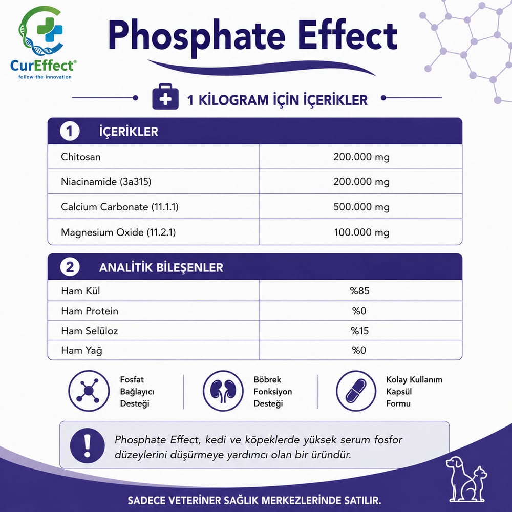 Phosphate Effect (Fosfor Dengeleyici)
