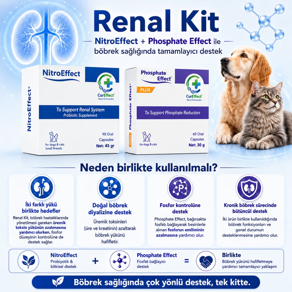 Renal Sağlık Kiti