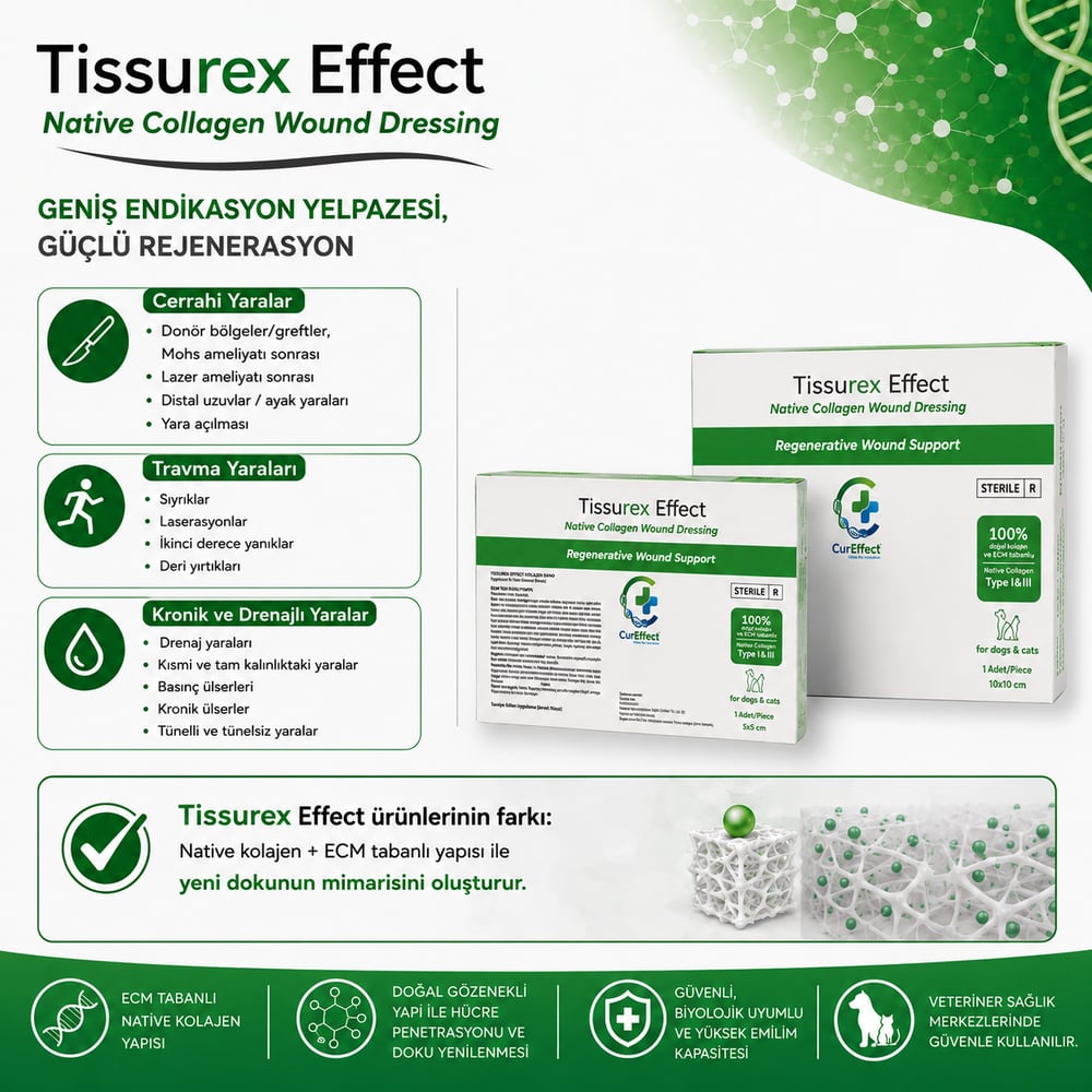 Tissurex Effect Native Kolajen Yara Örtüsü