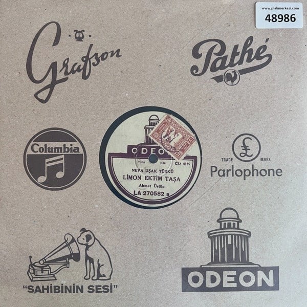 ahmet-ustun-limon-ektim-tasa-ne-sor-ba-8a866b.jpg