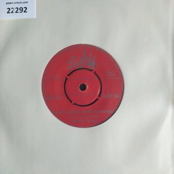 alaeddin-sensoy-camlar-arasindan-suzul-05630-.jpg