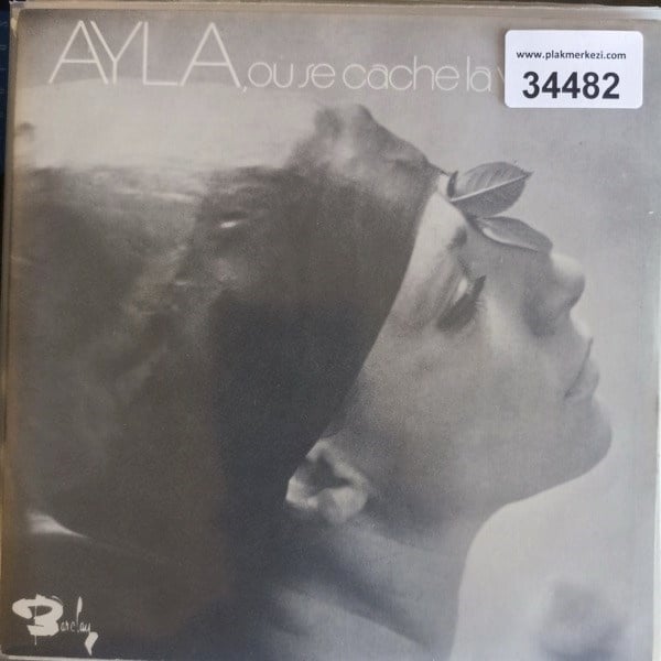 ayla-algan-ou-se-cache-la-verite-voila-33de7c.jpg