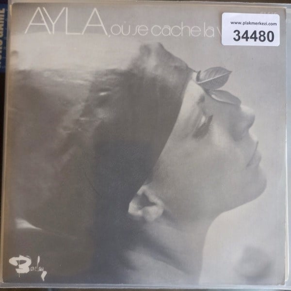 ayla-algan-ou-se-cache-la-verite-voila-9d-4e1.jpg