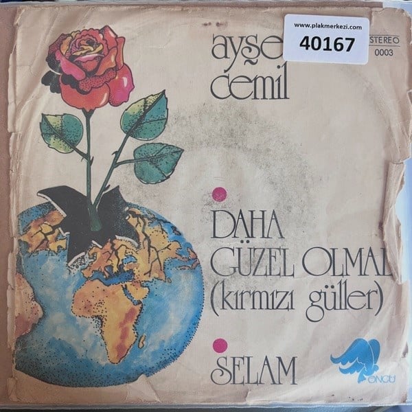 ayse-cemil-daha-guzel-olmali-selam-zaf--3663-.jpg