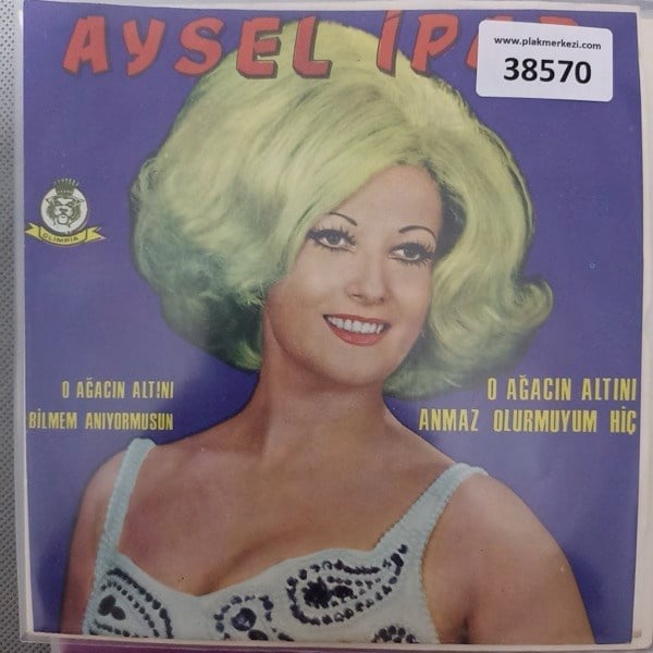 aysel-ipar-o-agacin-altini-bilmem-aniy-5f-419.jpg