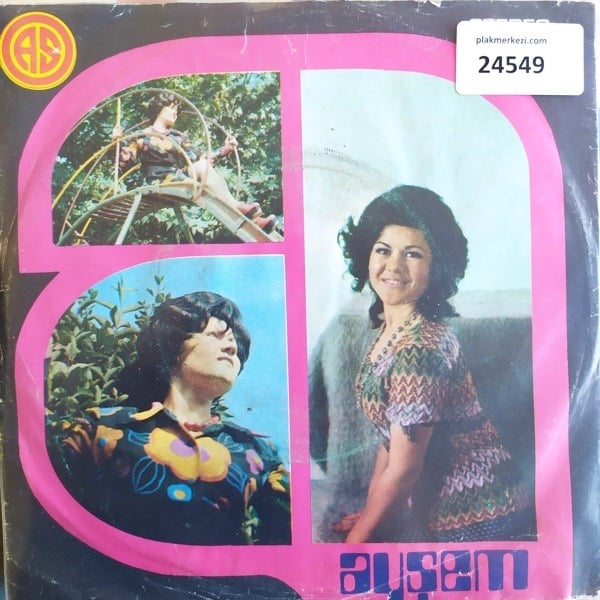 aysem-ya-sabir-kim-haram-demis-tr45k-2-1bed57.jpg