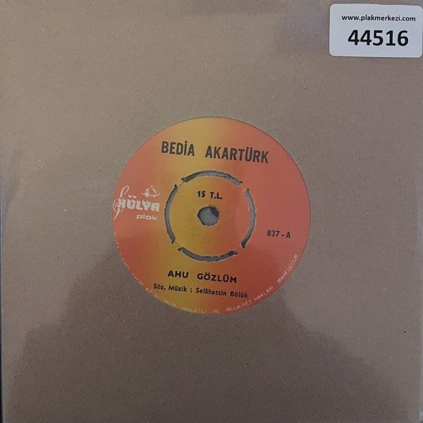 bedia-akarturk-ahu-gozlum-su-sazima-bi-9f4b44.jpg