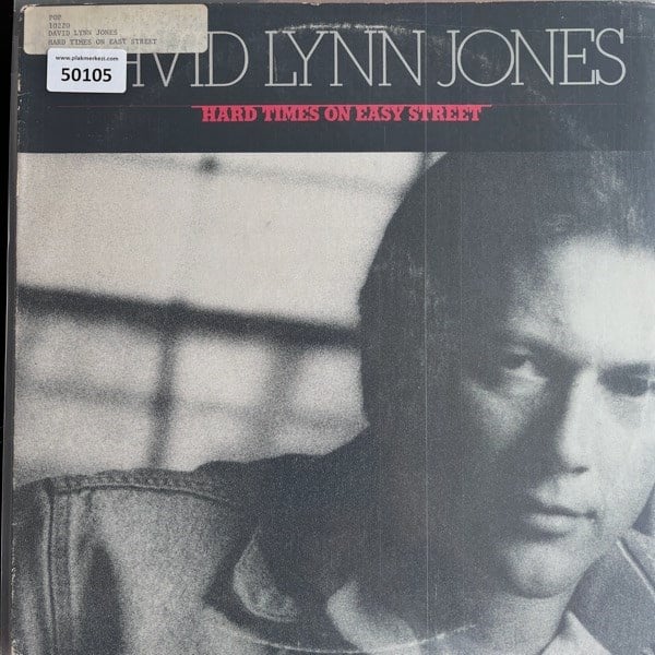 david-lynn-jones-hard-times-in-easy-st-8fd2-6.jpg