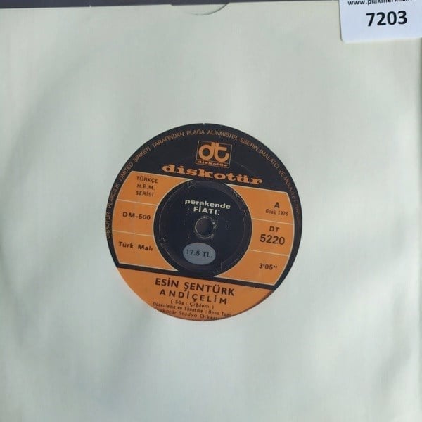 esin-senturk-andicelim-babacigim-tr45k-b4e4d1.jpg