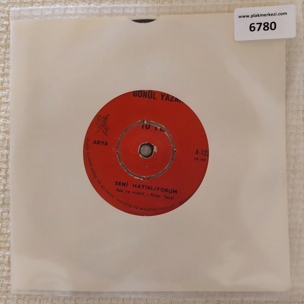 gonul-yazar-seni-hatirliyorumkader-tor-2cf97f.jpg
