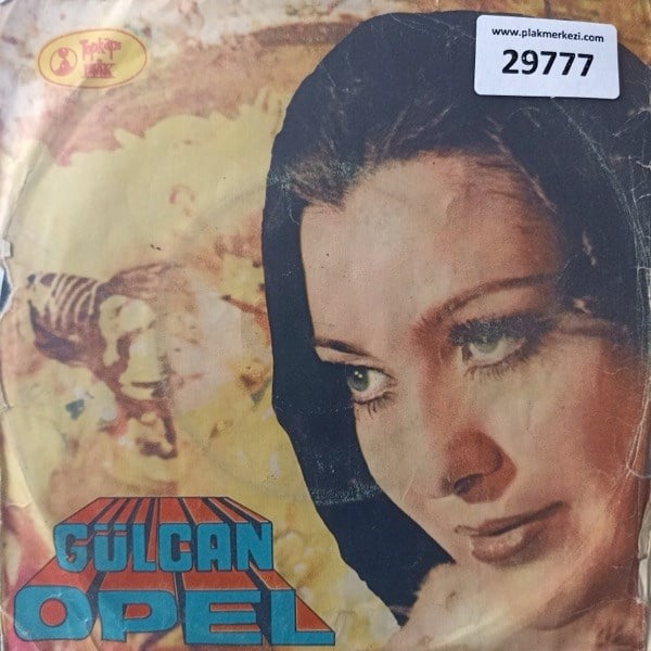 gulcan-opel-gitme-zuluf-dokulmus-yuze--baa9a4.jpg