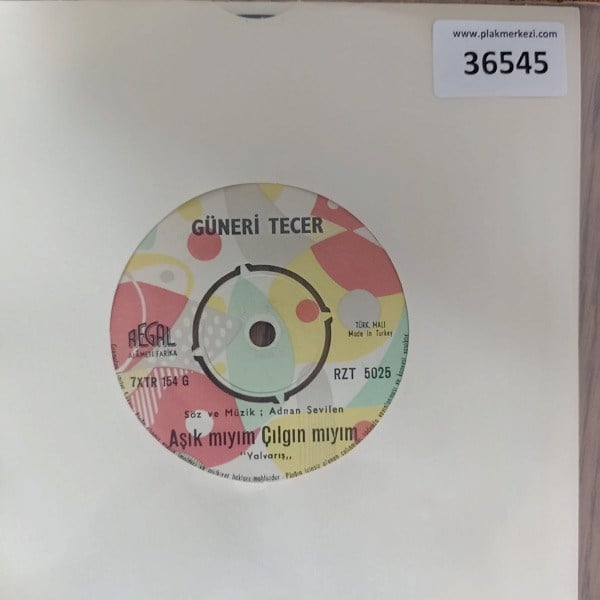 guneri-tecer-asik-miyim-cilgin-miyim-b-34256f.jpg