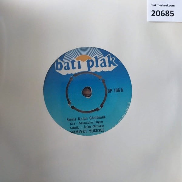 hamiyet-yuceses-sensiz-kalan-gonlumde--92466b.jpg