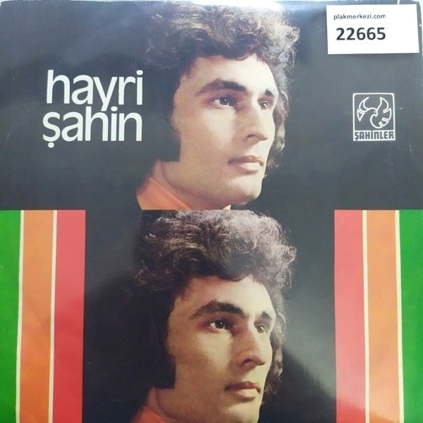 hayri-sahin-aci-izdirap-yaptigini-bege--b401-.jpg