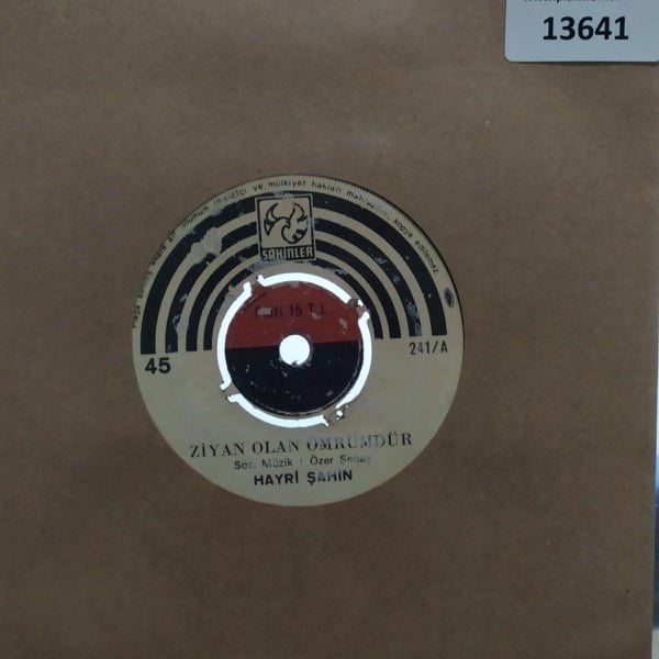 hayri-sahin-ziya-olan-omrumdurbirak-ka-baf4c5.jpg