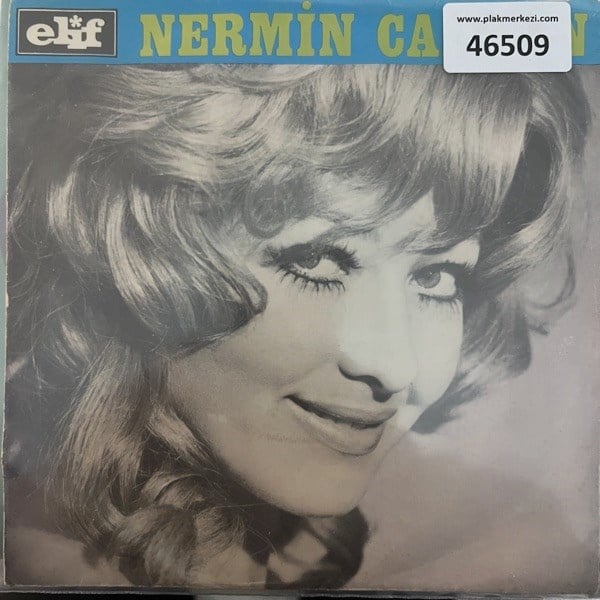 nermin-candan-don-bana-al-kollarina-el-d2c81-.jpg