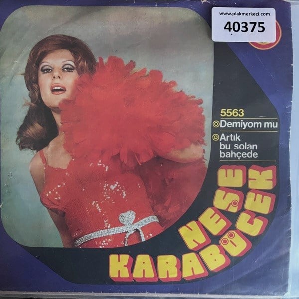 nese-karabocek-demiyom-mu-bos-vermisim-970c3a.jpg