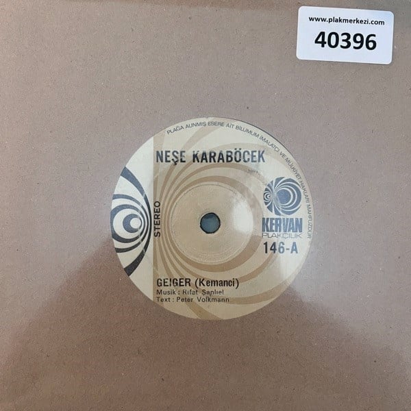 nese-karabocek-geiger-kemanci-careless-f6e27-.jpg