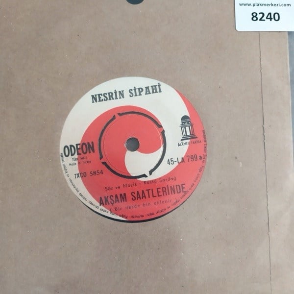 nesrin-sipahi-aksam-saatlerindesana-na-9-b3e5.jpg