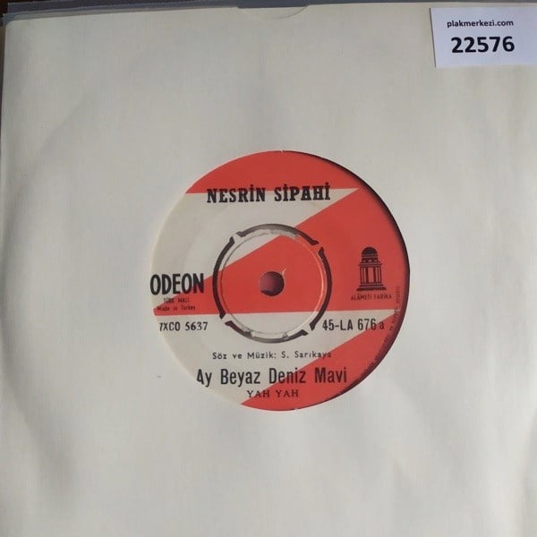 nesrin-sipahi-ay-beyaz-deniz-mavi-tez--d1-c2f.jpg