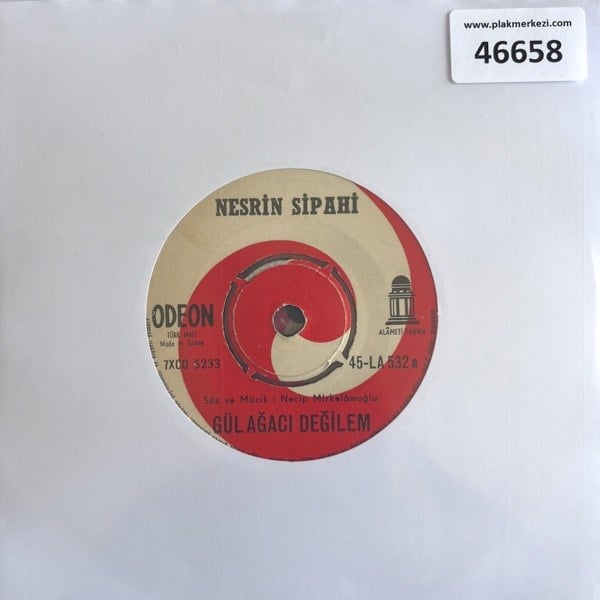 nesrin-sipahi-gul-agaci-degilem-sureyy-3cfd34.jpg
