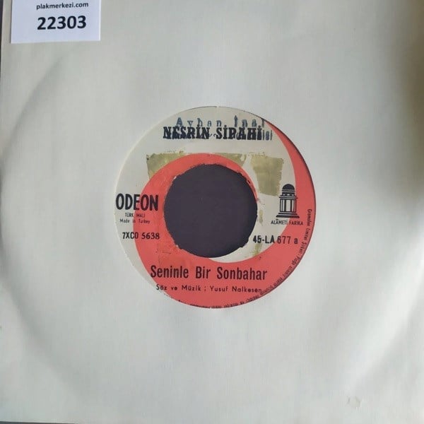 nesrin-sipahi-seninle-bir-sonbahar-bir-319-80.jpg