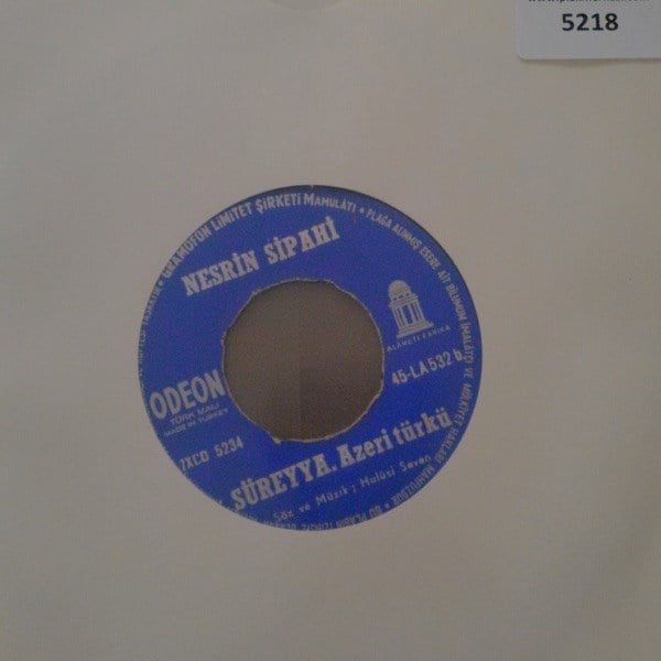 nesrin-sipahi-sureyyagul-agaci-degilem--4624-.jpg