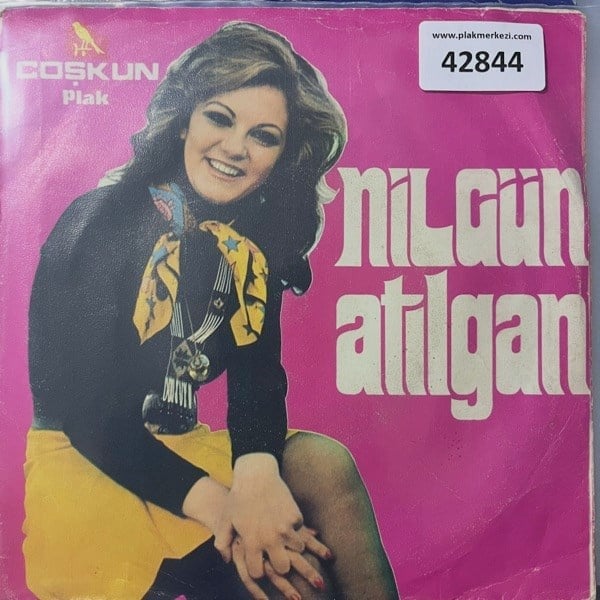 nilgun-atilgan-cek-kayikci-nerden-cikt-558-0f.jpg