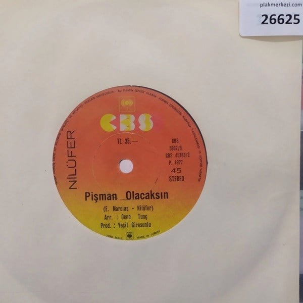 nilufer-ne-olacak-simdi-pisman-olacaks-17cd7-.jpg