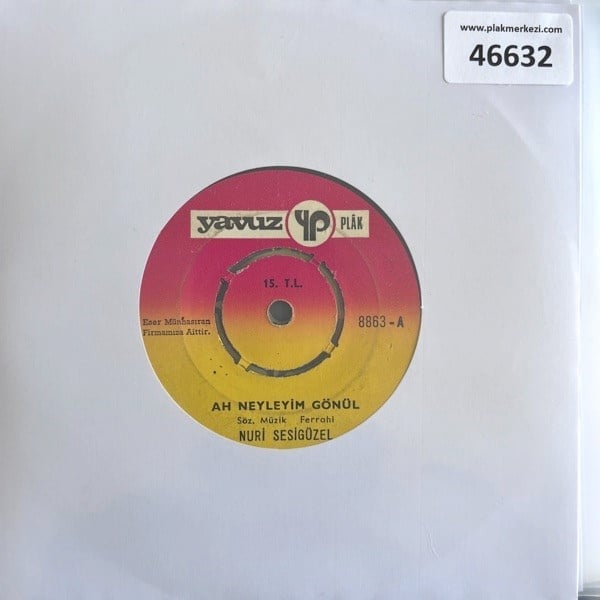nuri-sesiguzel-ah-neyleyim-gonul-gel-y--476c-.jpg