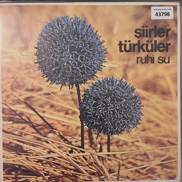 ruhi-su-siirler-turkuler-acilir-kapak--cfd-d8.jpg