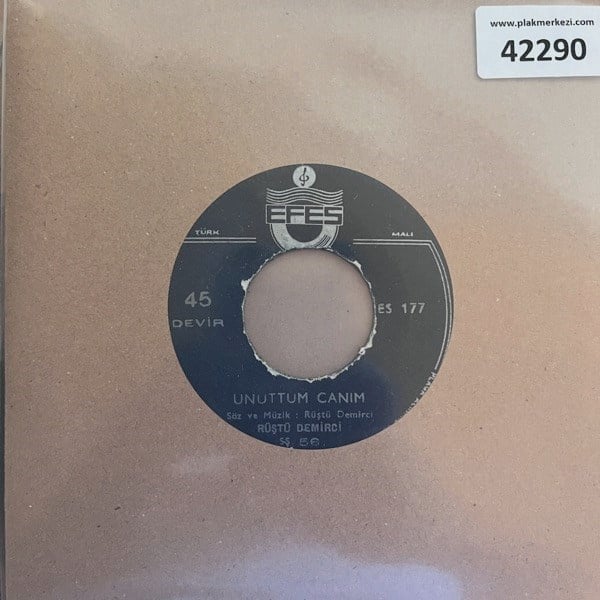 rustu-demirci-unuttum-canimi-sazim-saz-53054a.jpg